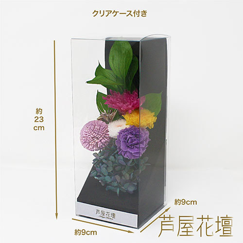 A&K 仏花シリーズ 新しい形のプリザーブドフラワー 紫苑-Shion- AKF-073_画像5