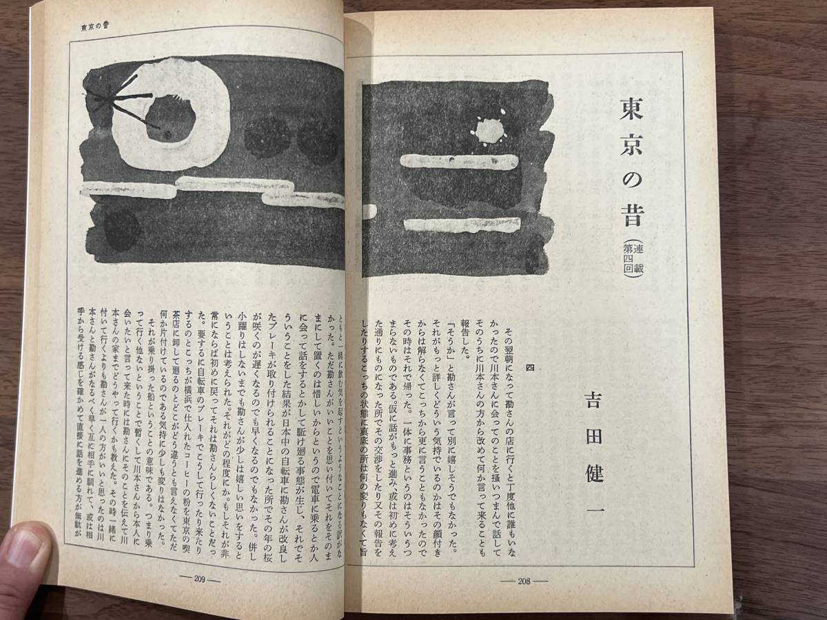 【送料180円】海 昭和48年8月号 吉田健一 富岡多恵子 吉本隆明 中田耕治 金子光晴 高橋睦郎 池田健太郎 安倍公房 佐伯彰一 瀬戸内晴美 ヤン_画像7