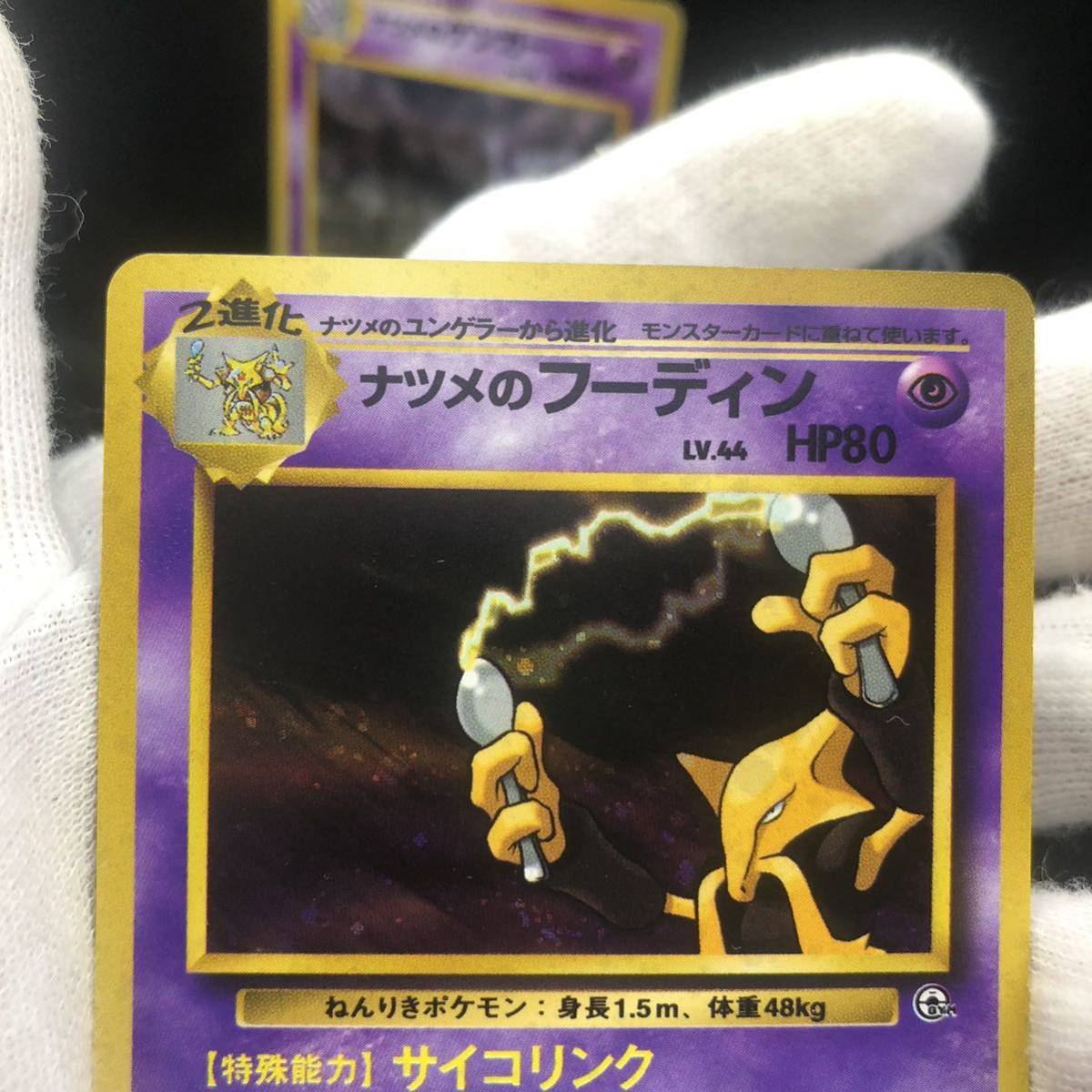 ポケモンカード 旧裏 旧裏面 ナツメのゲンガー ナツメの ポケモンカード 旧裏 旧裏面 ナツメのゲンガー ナツメの