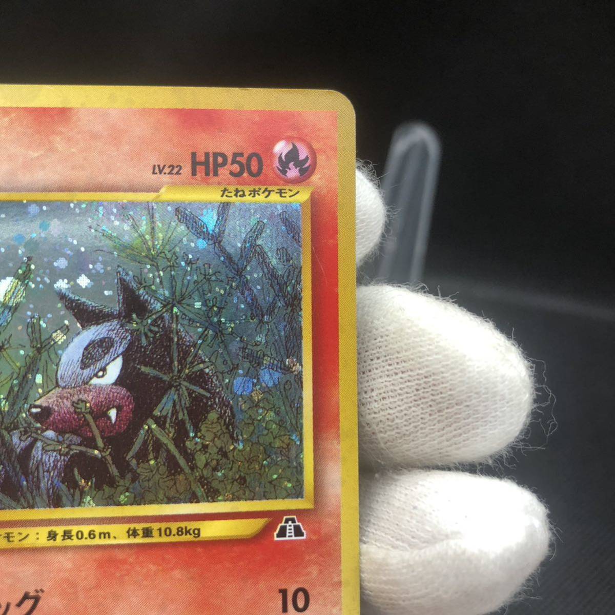 ポケモンカード 旧裏 旧裏面 キラ デルビル|Yahoo!フリマ(旧 ポケモンカード 旧裏 旧裏面 キラ デルビル|Yahoo!フリマ(旧