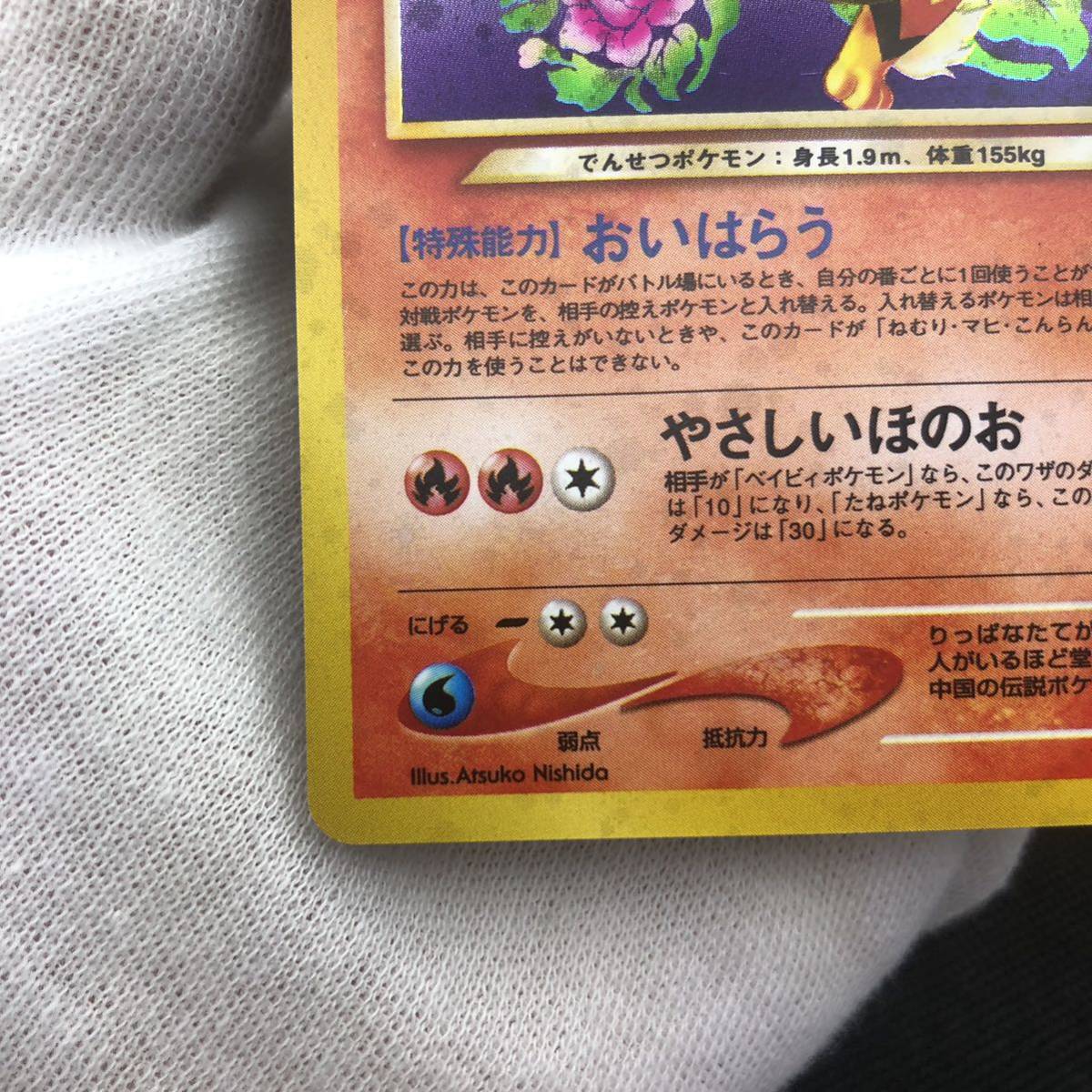 ポケモンカード 旧裏 旧裏面 やさしいウィンディ キラ|Yahoo ポケモンカード 旧裏 旧裏面 やさしいウィンディ キラ|Yahoo