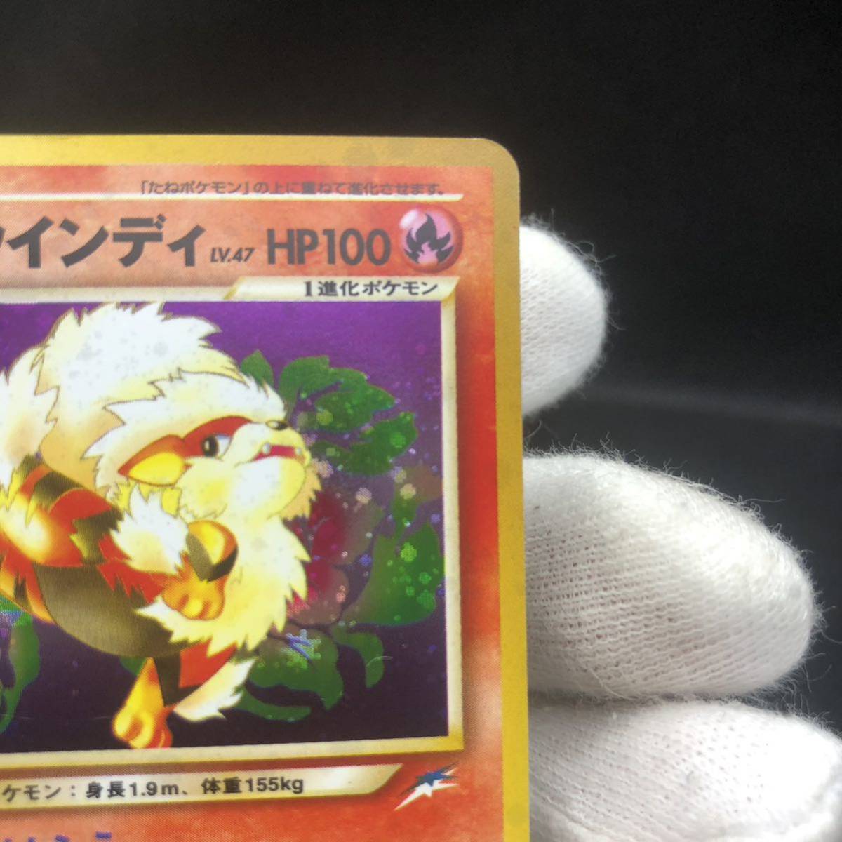 ポケモンカード 旧裏 旧裏面 やさしいウィンディ キラ|Yahoo ポケモンカード 旧裏 旧裏面 やさしいウィンディ キラ|Yahoo