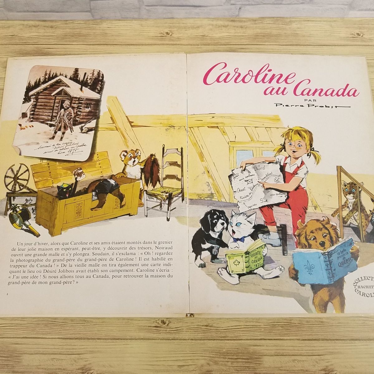 外国語絵本[カロリーヌ カナダへ いく（フランス語版） Caroline AU CANADA] ピエール・プロブスト 洋書 HACHETTE レトロ絵本_画像8