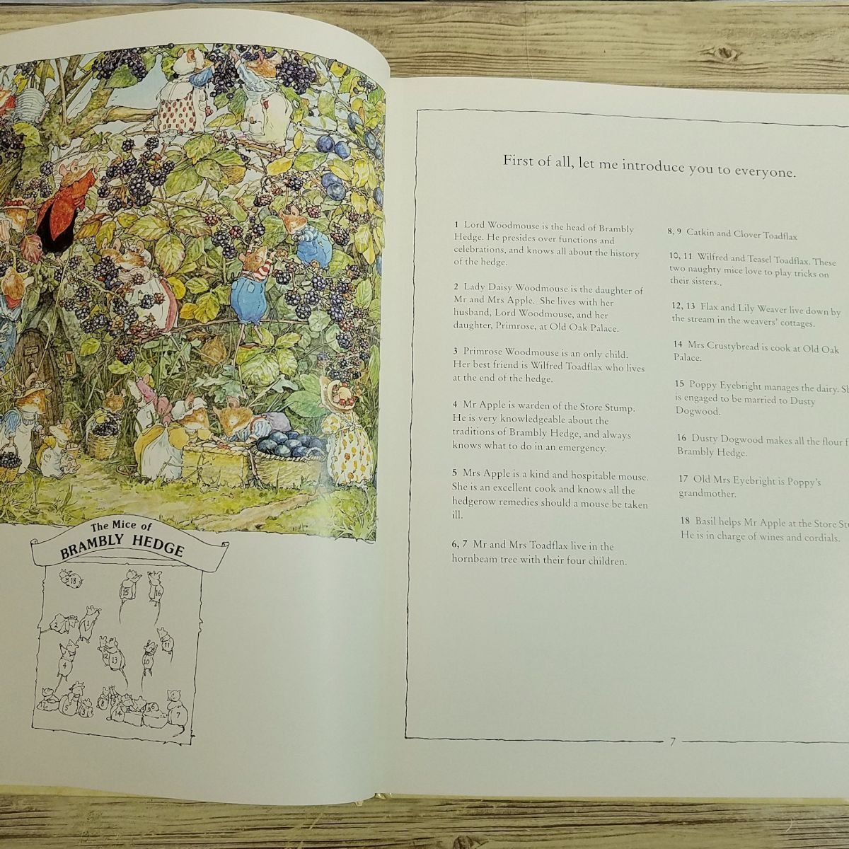  foreign language picture book [. ... .. thing ...BRAMBLY HEDGE TRESURY] secret. ....+ Will Fred. .. nobori + explanation foreign book Jill * Burke Lem 