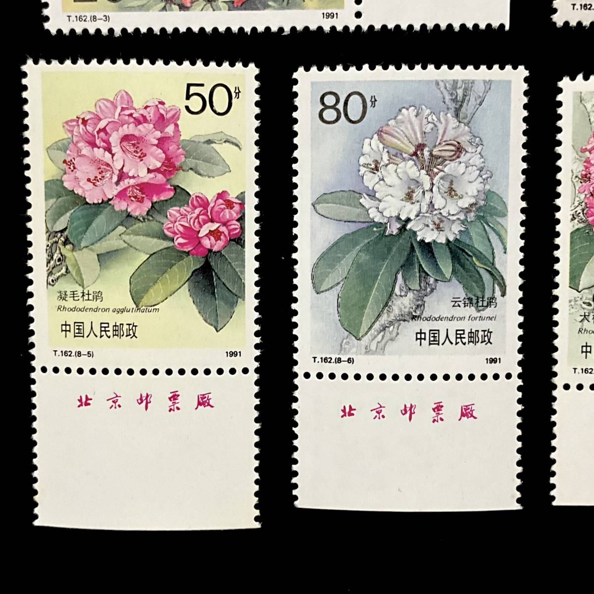 中国切手「ツツジ」８種完 （T１６２）１９９１年６月２５日発行 未使用切手_画像4