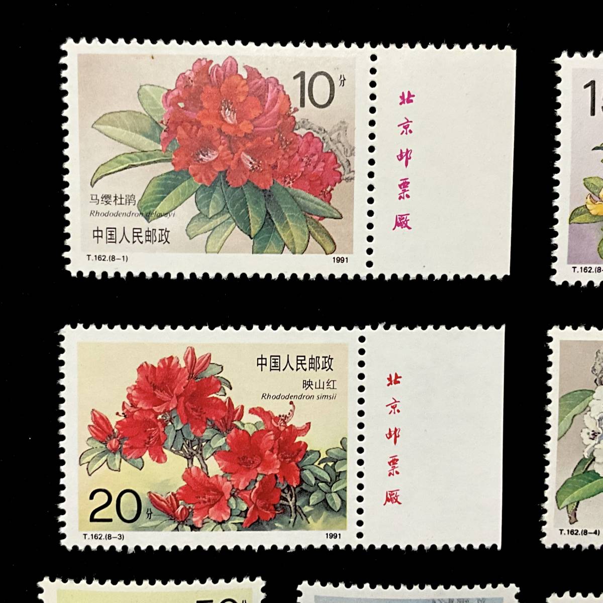中国切手「ツツジ」８種完 （T１６２）１９９１年６月２５日発行 未使用切手_画像2