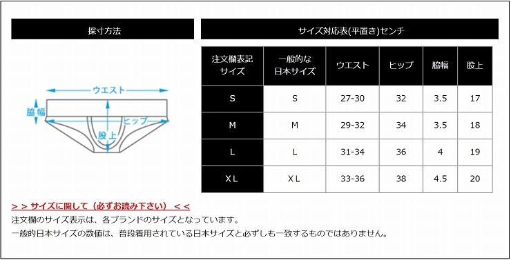 GX3 ジーバイスリー Sheer カラー ビキニ スイムウェア　レッド Sサイズ　新品　完売品_画像6