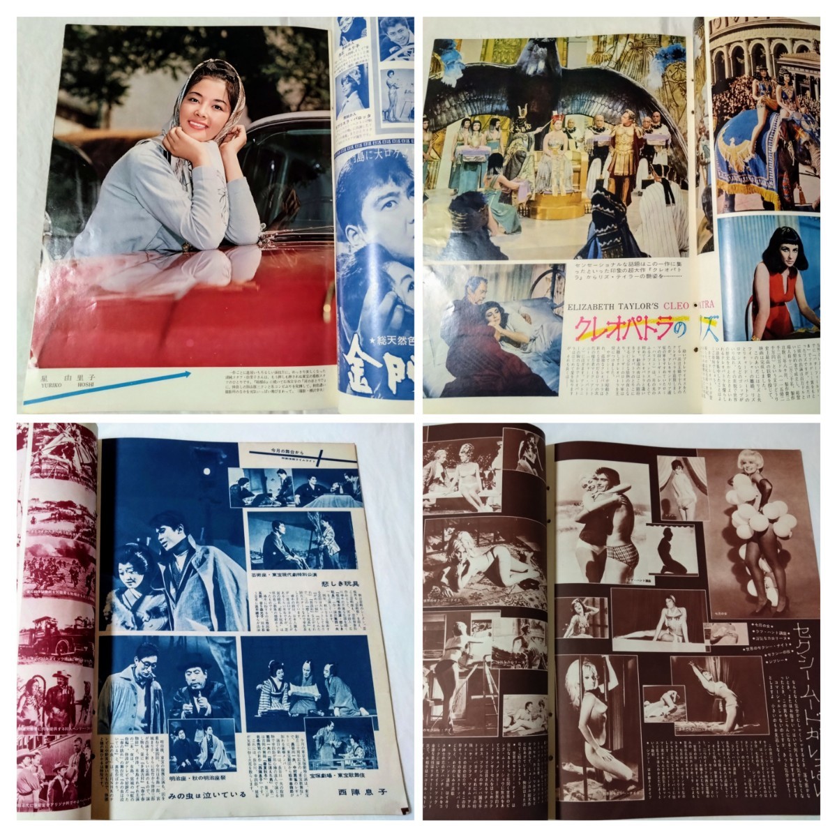 映画情報1962年浅丘ルリ子星由里子叶順子筑波久子叶順子中村 映画情報1962年浅丘ルリ子星由里子叶順子筑波久子叶順子中村
