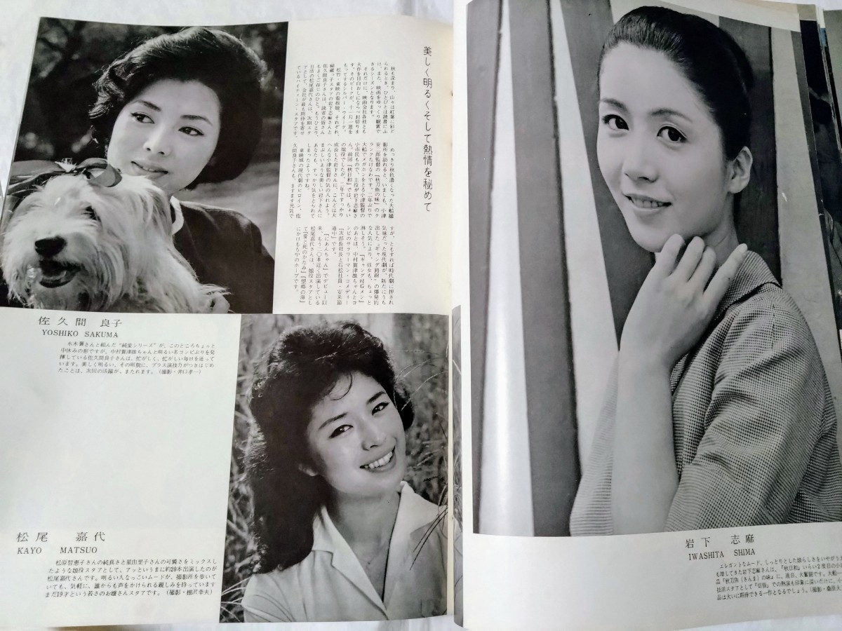 映画情報1962年浅丘ルリ子星由里子叶順子筑波久子叶順子中村錦之助山本富士子岩下志麻佐久間良子松尾嘉代高倉健中川ゆき榊ひろみ石原裕次郎_画像3