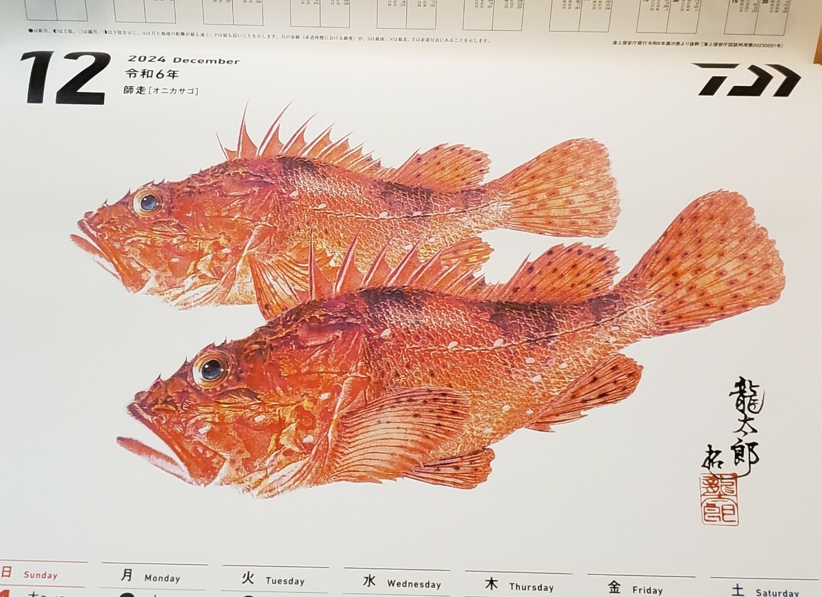 DAIWA 魚拓カレンダー ダイワ　令和6年 2024 SHIMANO シマノ がまかつ 店名 店舗 Daiwa がま _画像9