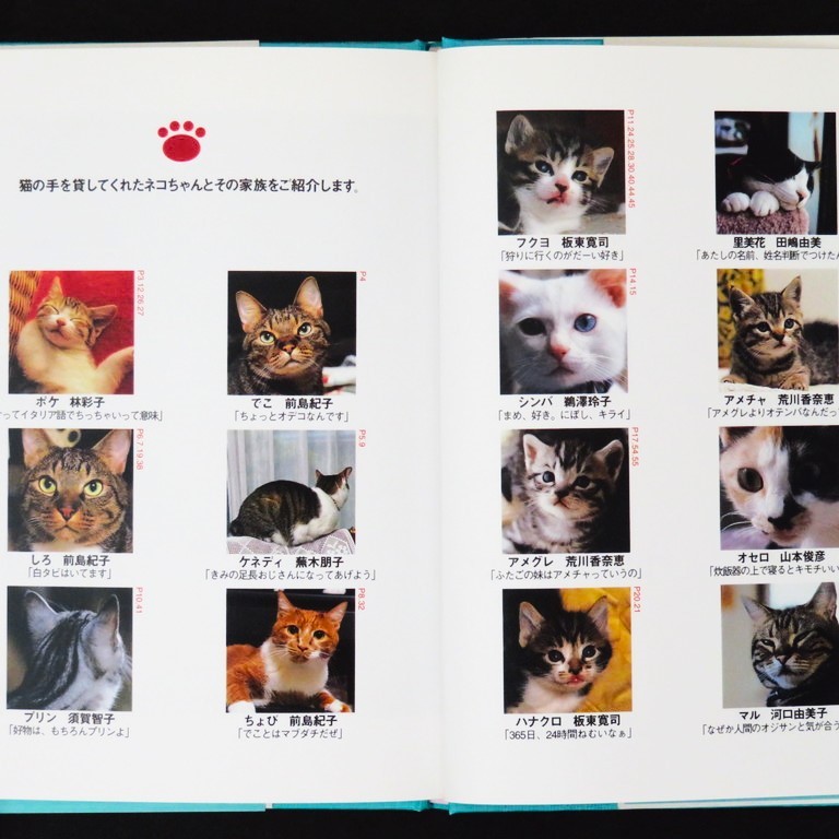книга@ литература [ кошка. рука ] склон восток .. работа * фотография Bungeishunju / Bunshun nesko кошка фотоальбом кошка фотоальбом 