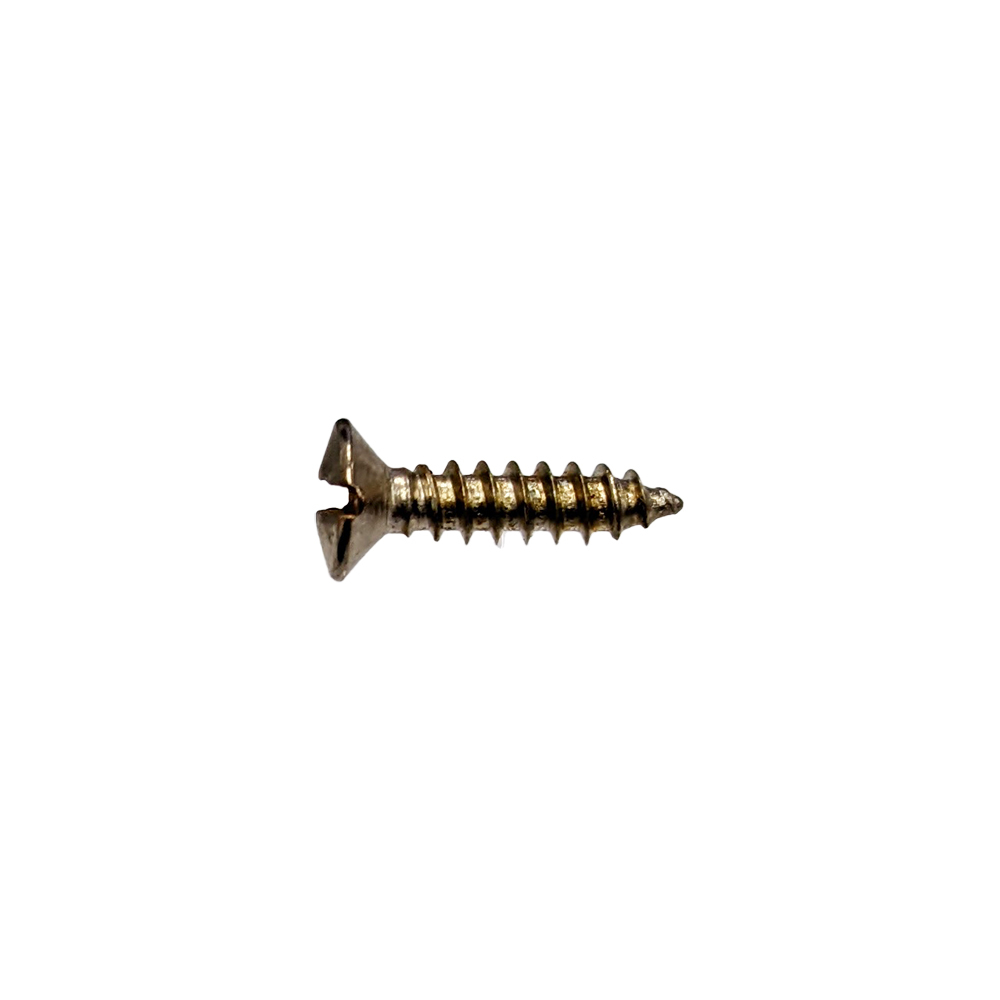 YJB PARTS Relic Screws レリックネジ (ミリ)Fタイプピックガード用(マイナス頭) (メール便のみ送料無料)_画像2