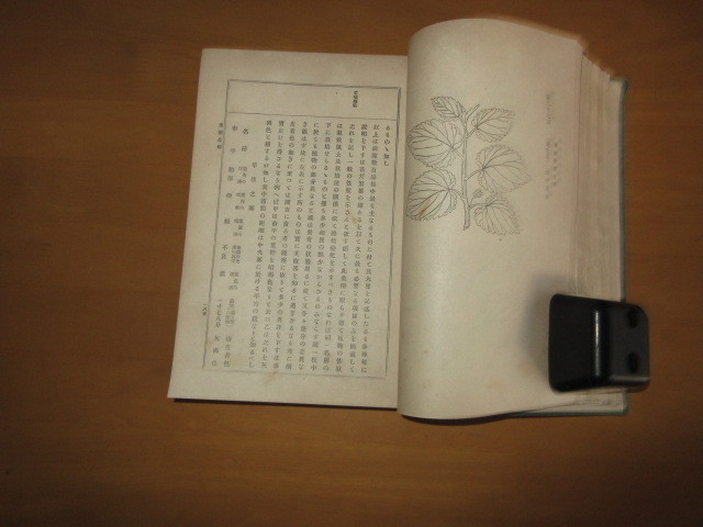 改訂増補　桑樹栽培全書　　　池田榮太郎著　　博文館　明治43年4月　　単行本_画像5