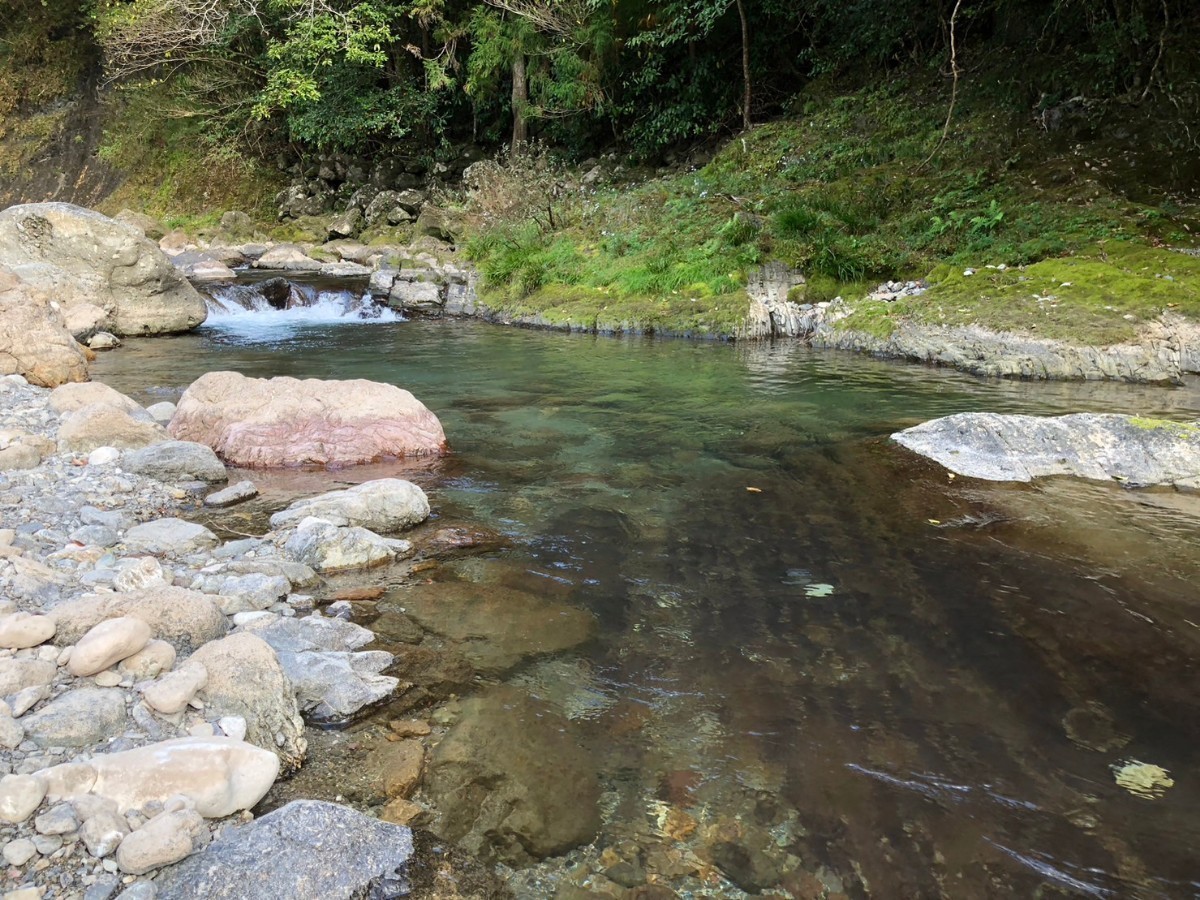 高知産 ☆土佐の清流☆ 天然鮎 10匹 冷凍_画像3