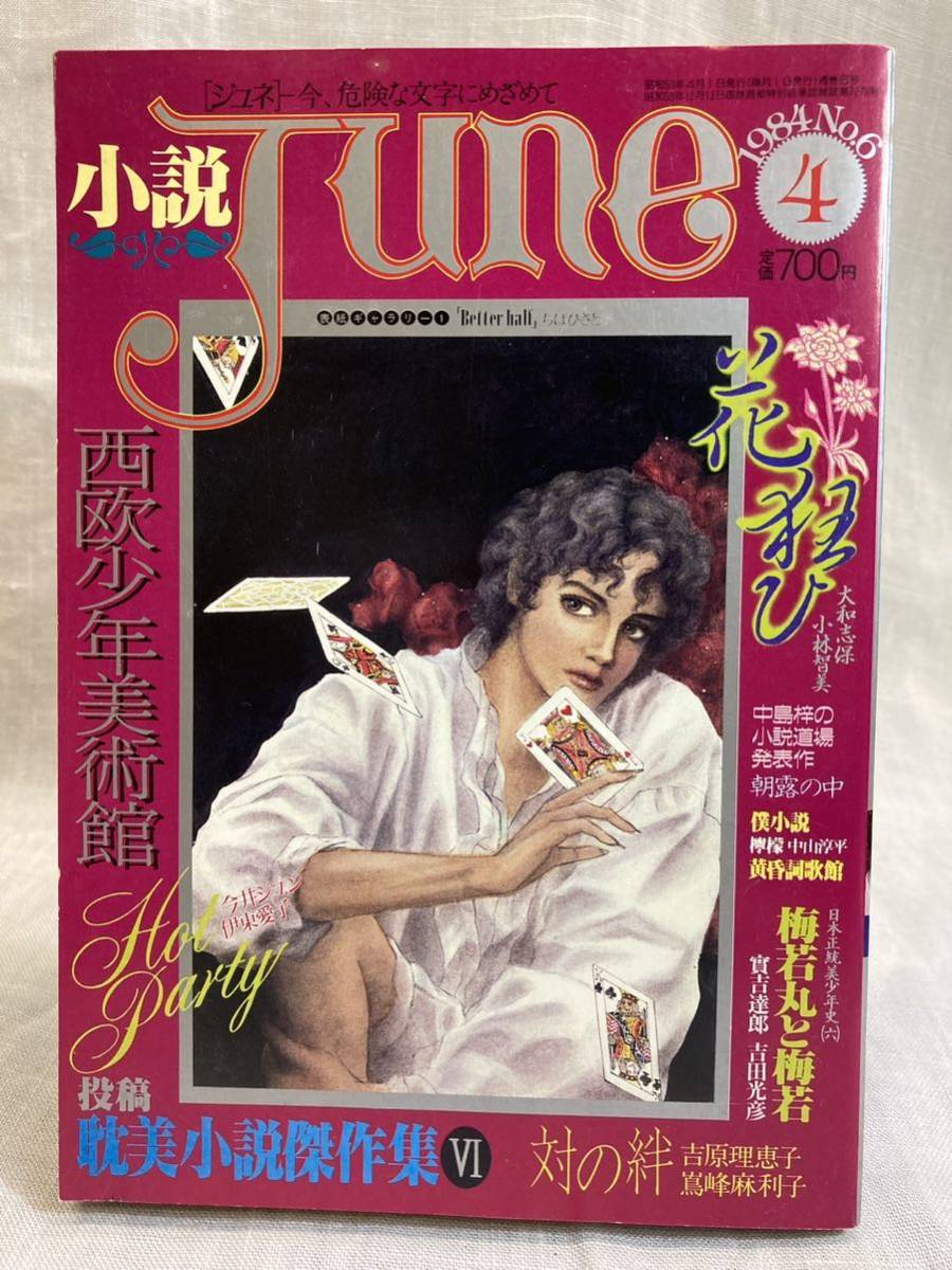  novel juneJune No.6 1984 year 4 month number 