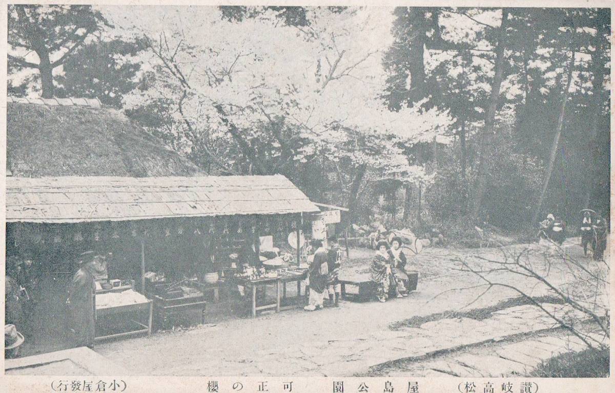 ●戦前絵葉書●讃岐高松 屋島公園 可正の桜 香川県●古写真 郷土資料 観光 明治 大正 昭和_画像1