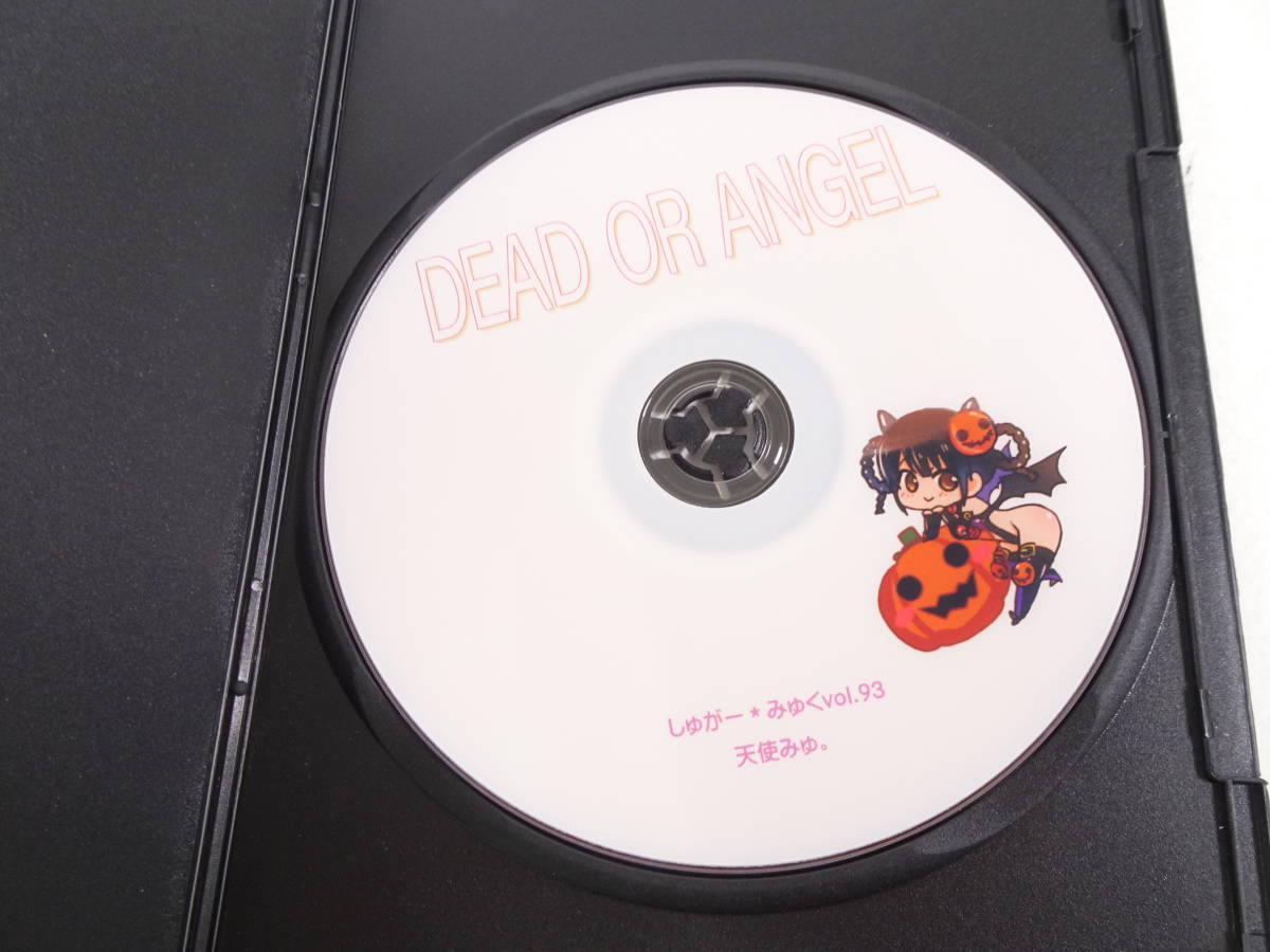 88/Ω791★コスプレ CD-ROM ・デジタル写真集★天使みゅ。 DEAD OR ALIVE/デッドアアライブ ：レイファン・しゅがー*みゅく コミケ_画像7