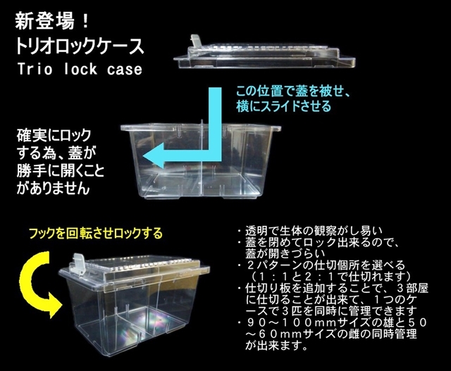  Trio блокировка кейс ( сепаратор 1 листов имеется )10 шт рогач, жук-носорог взрослое насекомое садок для разведения ( Okinawa кроме включая доставку )