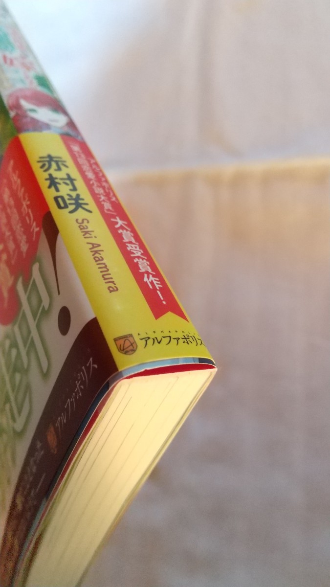 妹ばかり可愛がられた伯爵令嬢、妹の身代わりにされ残虐非道な冷血公爵の嫁となる （レジーナブックス） 赤村咲／著