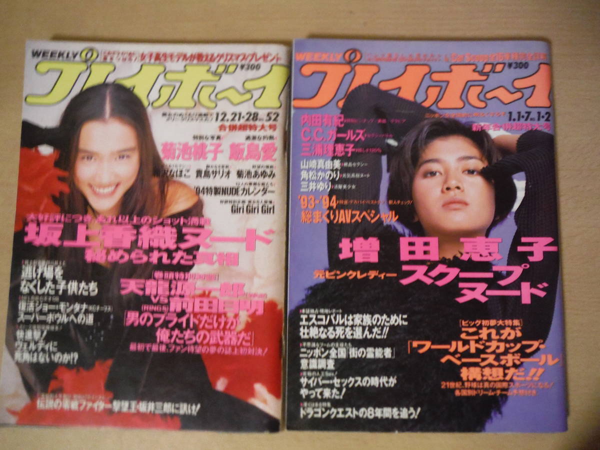 ★机下 週刊プレイボーイ 1992年,1993年,1994年 10冊まとめて 飯島愛 南野陽子 藤谷美紀 池田しょう子 中嶋朋子 内田有紀 増田恵子 擦れ有_画像9