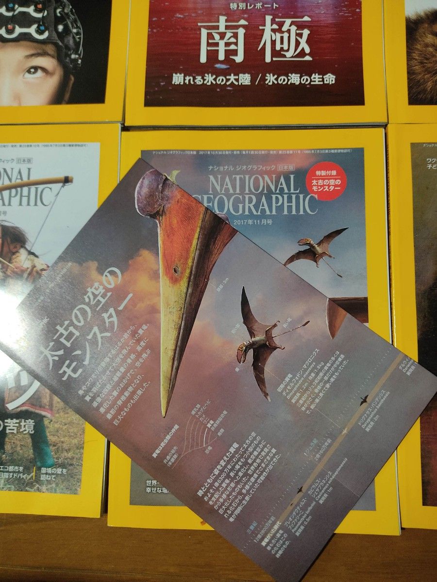 ナショナル　ジオグラフィック　日本語版　2017　12冊　特製付録付