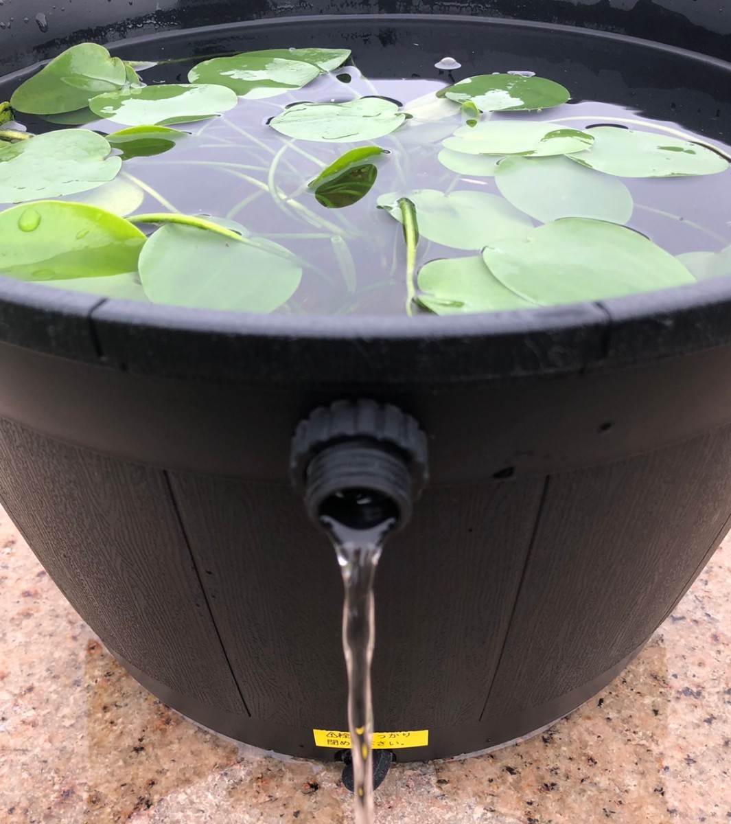  front door biotope optimum! Smart valve overflow measures ending water lily pot [ large, small ] black 2 piece set!