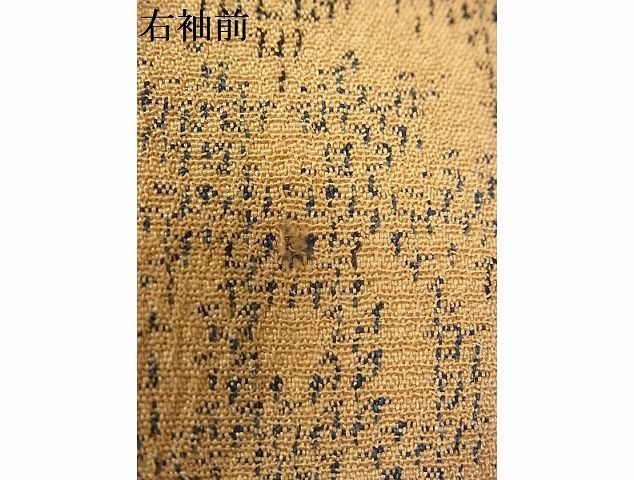 平和屋-こころ店■本塩沢　花間道　着丈158.5cm　裄丈62.5cm　正絹　逸品　B-zg7687_画像7