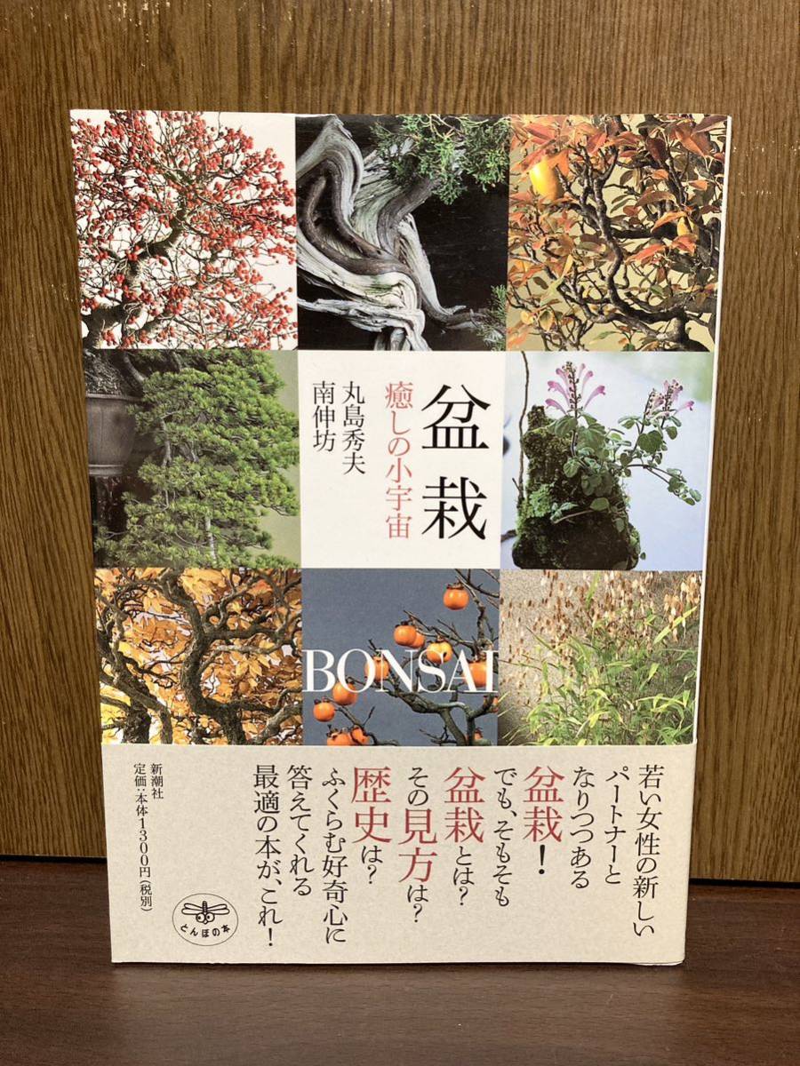 Первое издание Bonsai с группой Healing Kotosou Marushima hideo Marushima hideo minaminobo Эстетика Тонбо Книга истории