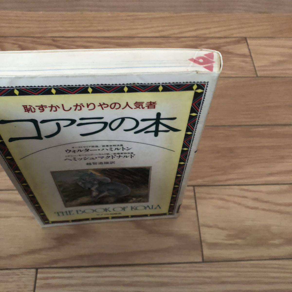 コアラの本　恥ずかしがりやの人気者　ウォルターハミルトン　ヘミッシュマクドナルド　越智道雄　サイマル出版会　リサイクル本　除籍本