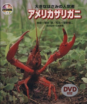  large scissors. popular person America crayfish | Kuribayashi .( author ),... two ( author )