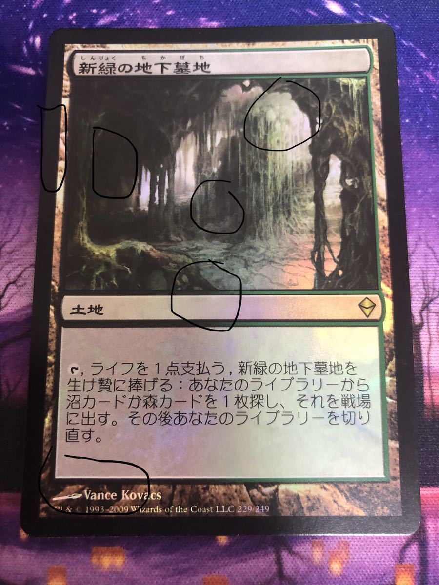 メーカー包装済】 MTG/新緑の地下墓地/Verdant Catacombs/ZEN/日本語