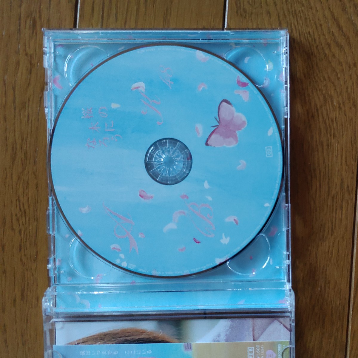 AKB48　　桜の木になろう　　CD+DVD　　Type-B　　　_画像4