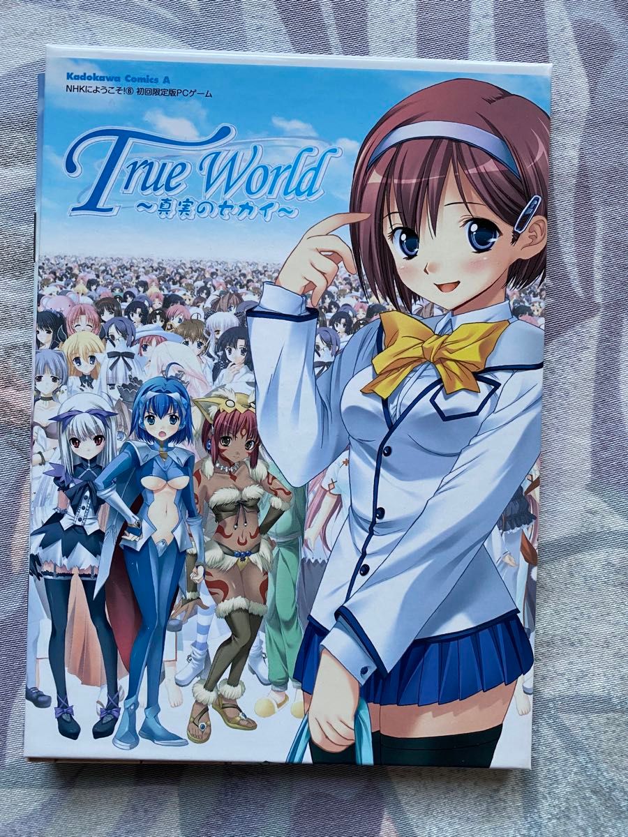 NHKにようこそ！ 6巻初回限定付録PCゲーム True World