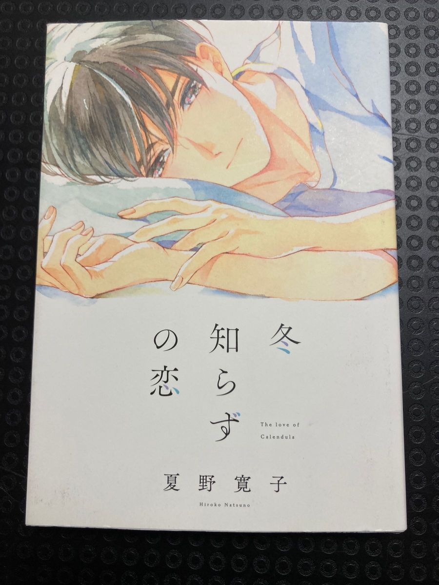 冬知らずの恋 夏野寛子 BL コミック