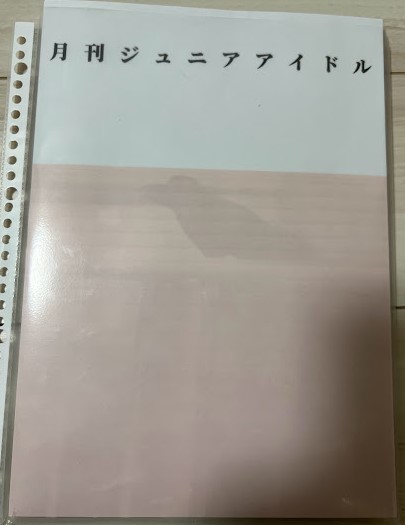 河合玲奈　１１SET 河西莉子 ７SET　　　　　月刊Juniorアイドル_画像1