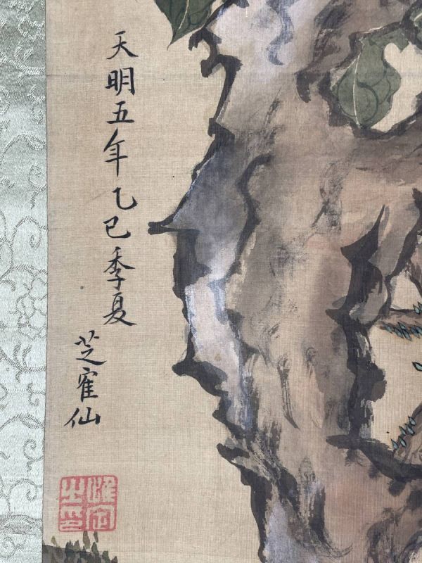 【真作】【中国画、長崎派】沈南蘋派　芝寉仙　絹本極細密花鳥画　時代箱　唐画 B77シワkg_画像9