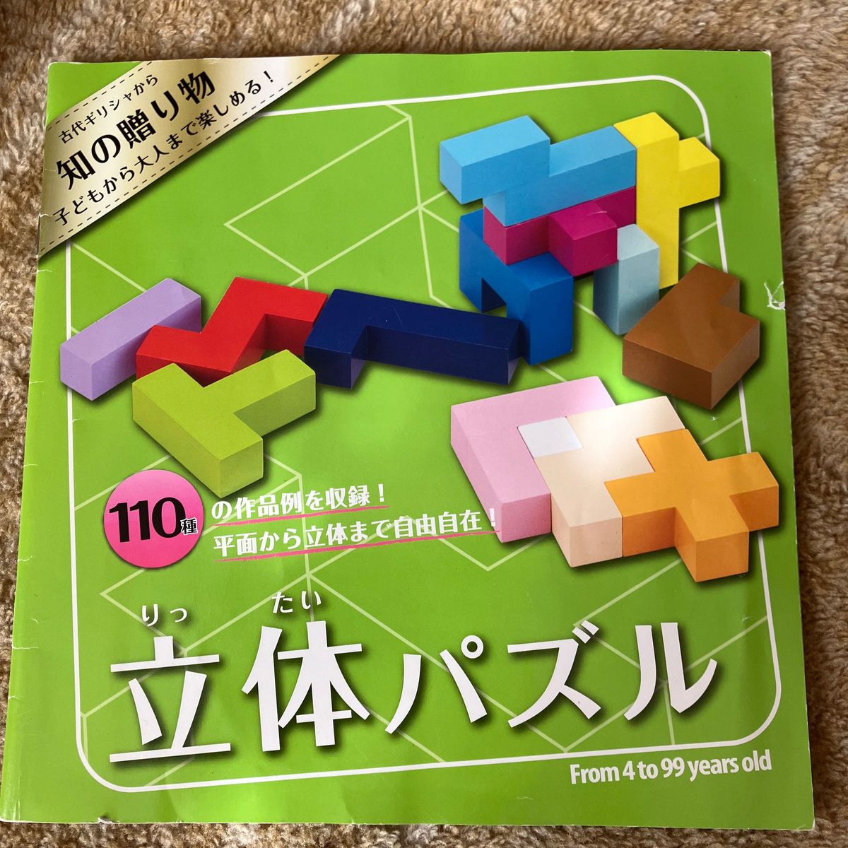 知育玩具　立体パズル　エド.インター　木の玩具
