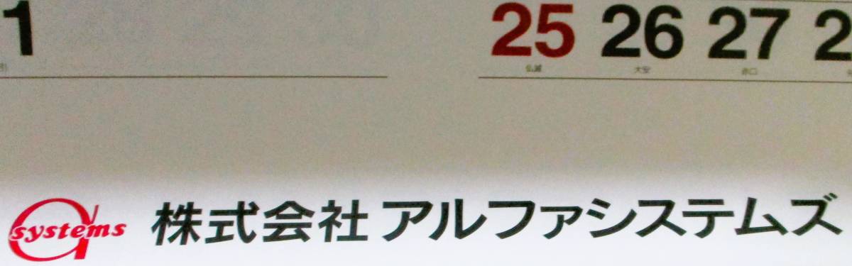 No3794 2024年 壁掛けカレンダー 世界の名峰 フィルムカレンダー 大判 ロゴ入りの画像3