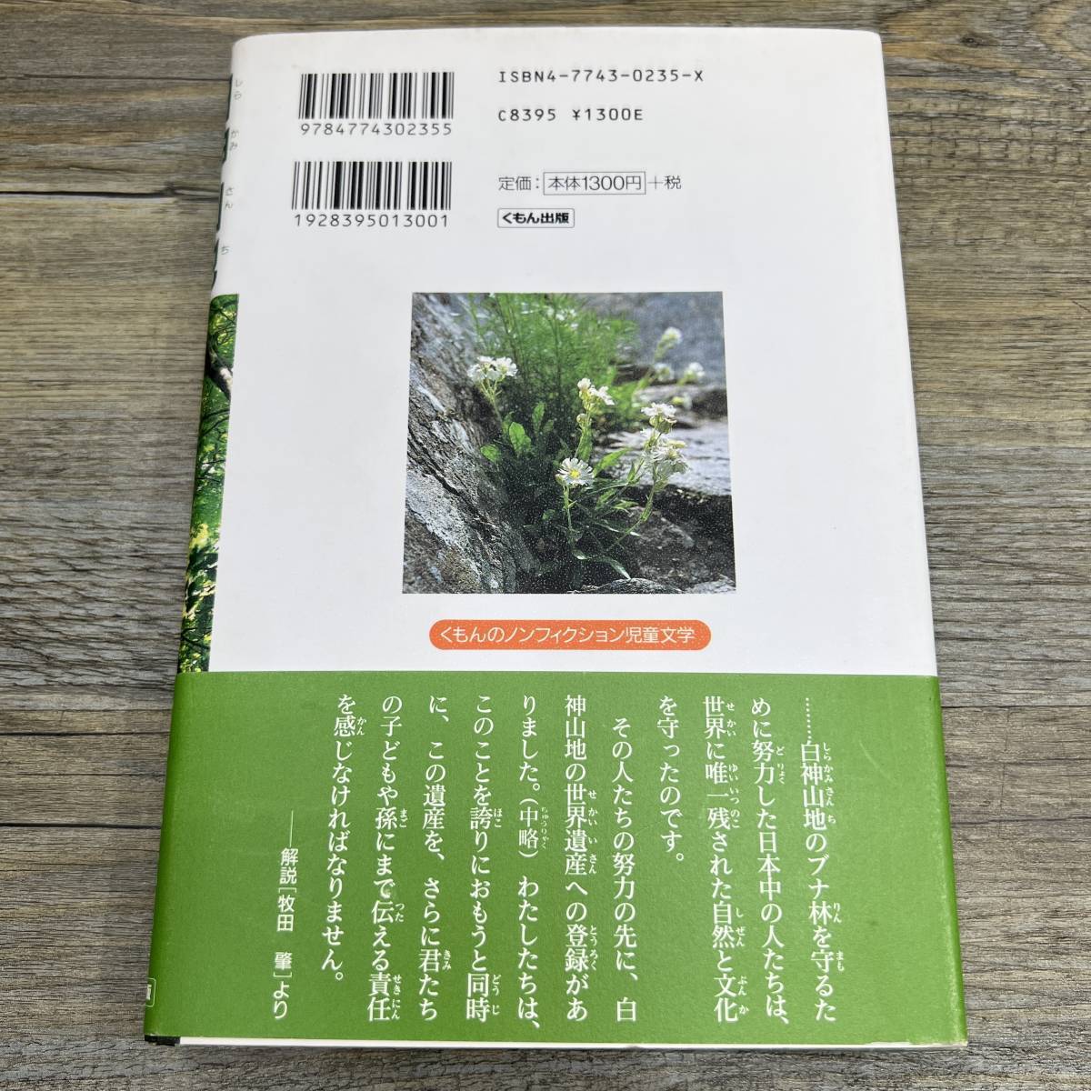 Z-9894■白神山地 8000年の「生命」をたずねて■帯付き■鈴木 喜代春/著■環境問題■くもん出版■1998年7月18日初版第1刷_画像2