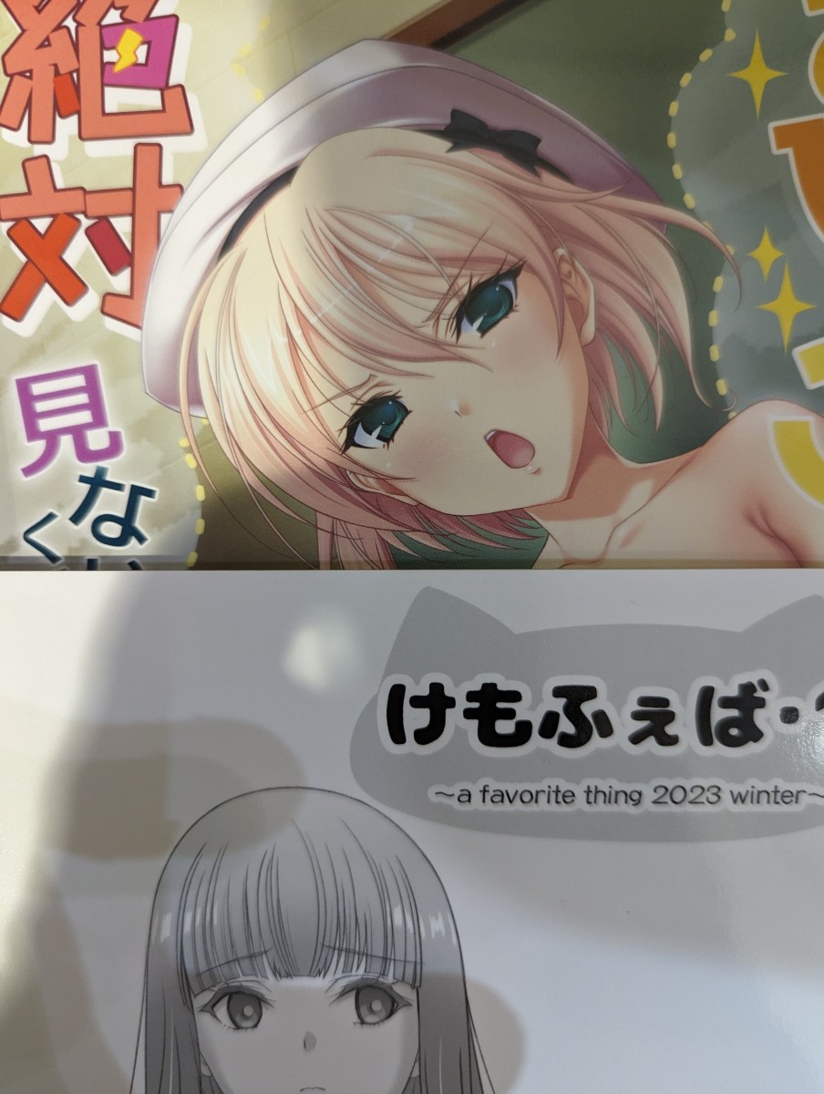 即決 コミケ103 C103 けもこも屋 新刊＋会場限定本 こもりけい _画像1