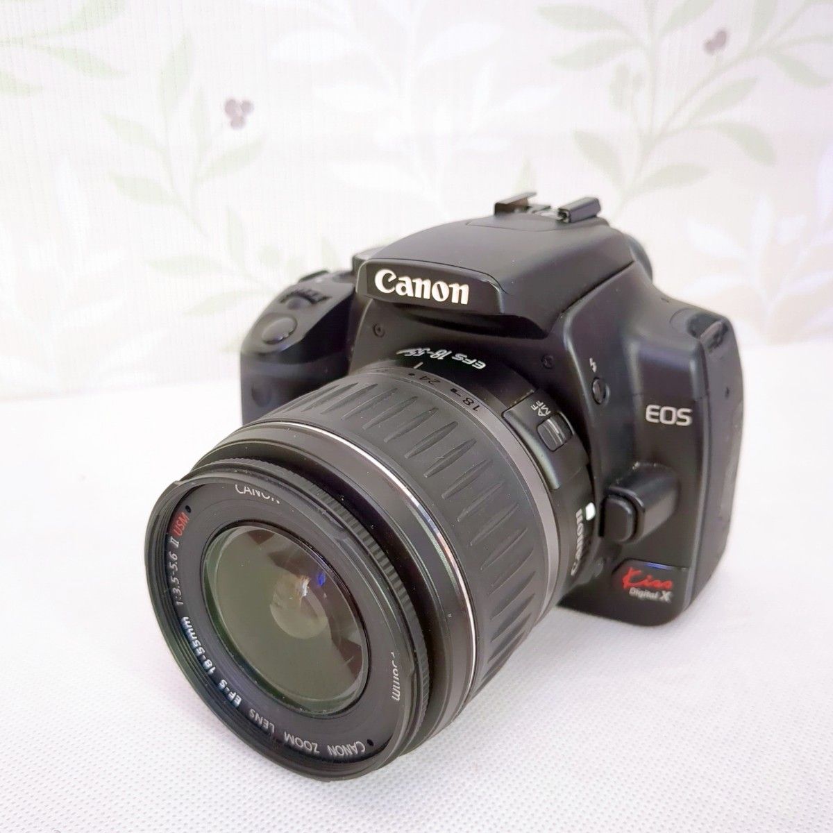 Canon EOS KISS DIGITAL X レンズキット 望遠レンズ付き | newsroom.kz