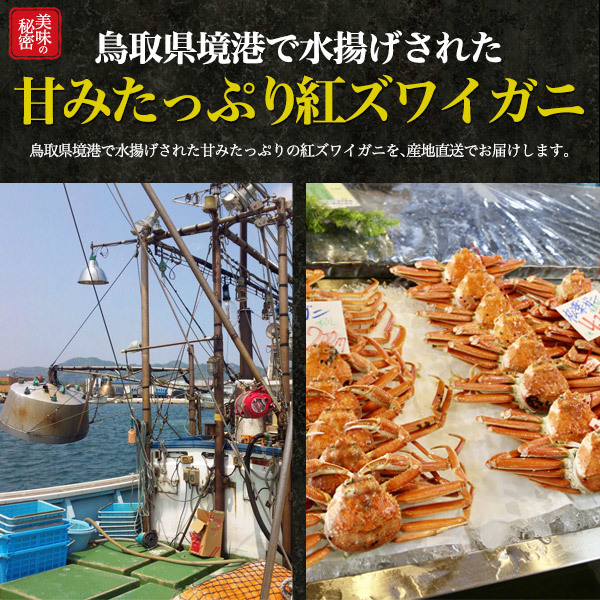 訳あり 紅ずわい蟹 ボイル 肩脚 詰め合わせ B級品 計2kg 足 紅ズワイガニ 境港 漁港直送 国産 未冷凍 冷蔵便_画像5