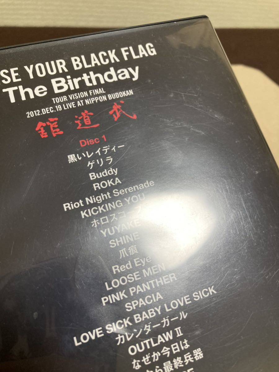 即決 希少 The Birthday DVD 2枚組 RAISE YOUR BLACK FLAG TOUR VISION FINAL LIVE AT NIPPON BUDOKAN 武道館 チバユウスケ ザ バースデイ_画像9