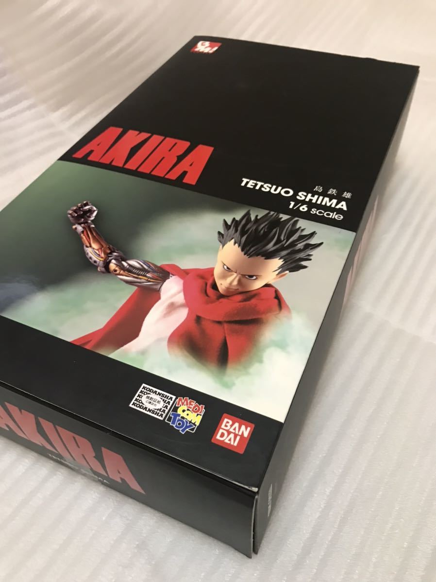  Akira AKIRA island iron male 1/6 scale PROJECT BM