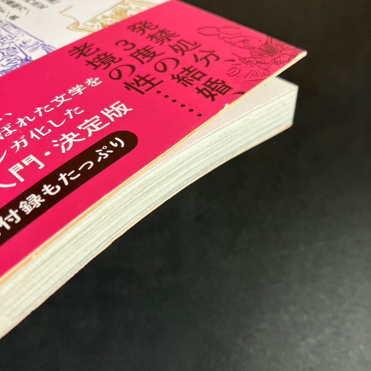 谷崎マンガ　変態アンソロジー 谷崎潤一郎／原作　榎本俊二 今日マチ子 近藤聡乃 しりあがり寿 高野文子 古屋兎丸　山口晃_画像5