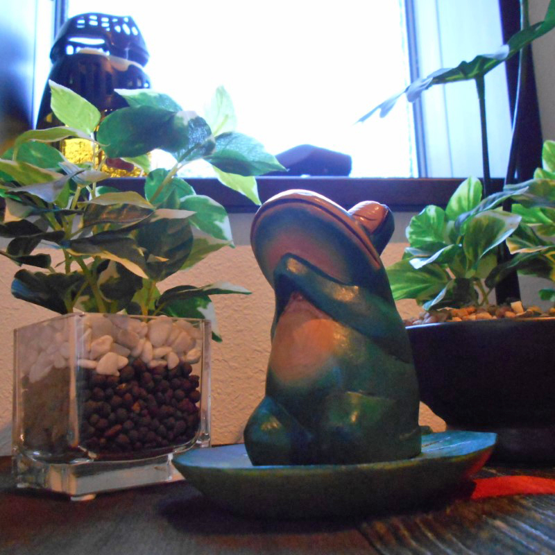 蓮の葉の上のお祈りかえる♪ かえる カエル フロッグ 蛙 縁起物 ロータス 蓮 オブジェ かえるの置物 木彫りの置物 アジアン雑貨 バリ雑貨