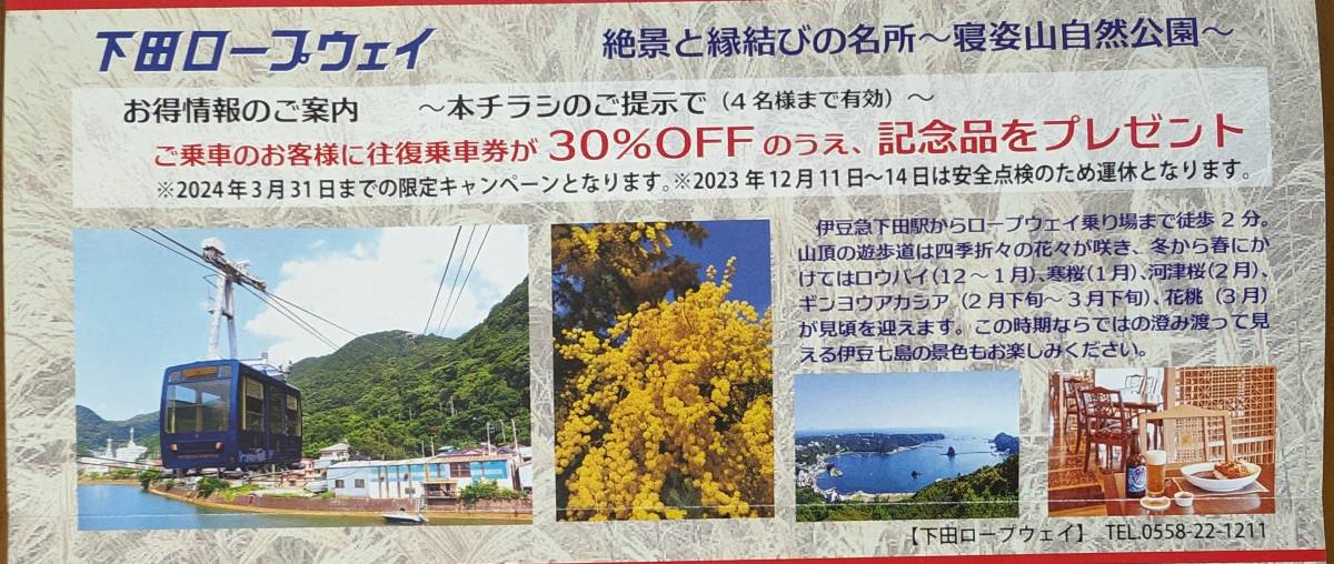 東急 株主限定特典　下田ロープウェイ往復乗車券３０％ＯＦＦ（１～２枚）_画像1