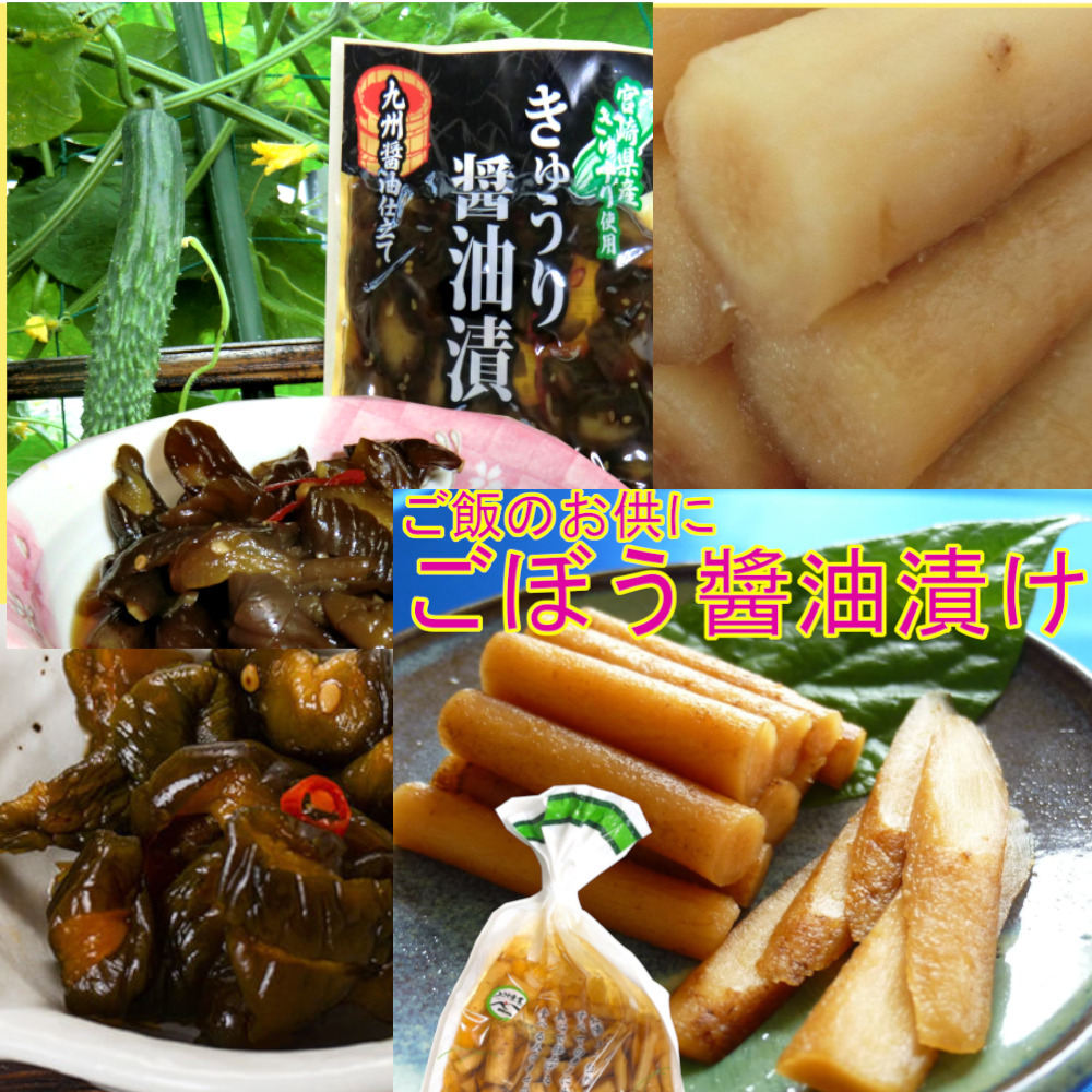  Miyazaki. tsukemono pickles gobou soy sauce .100g×3 sack cucumber soy sauce .100g×2 sack side dish rice. .. sake. . free shipping 