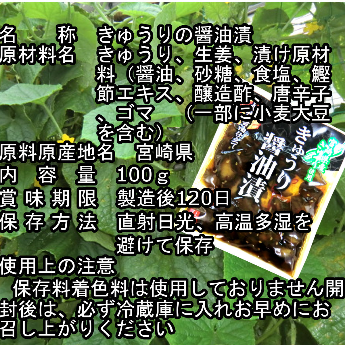 「宮崎の漬物」 醤油漬二選 ごぼう醤油漬100g×3袋 きゅうり醤油漬100g×2袋 宮崎産 ご飯のお供 九州醤油 お茶うけ 懐かしい古里 送料無料_画像4