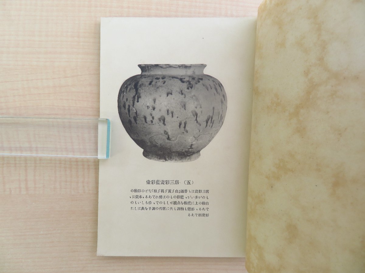 スーツ特別割引クーポン 小森忍『支那古陶磁器解説』昭和5年 関東庁博物館刊(南満州旅順 和書